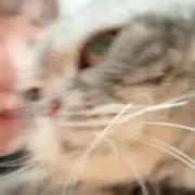 なるせの画像