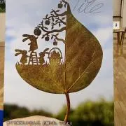 白うさぎの画像