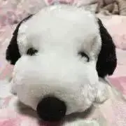 ぴよこちゃん
