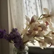 e☆の画像