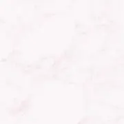 うーろんちゃ(8/25~30発送不可能)の画像