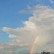ずん