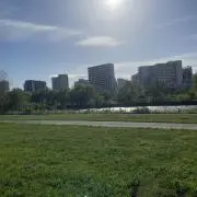 ききー