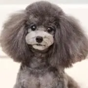 イオのママ
