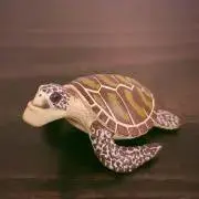 panapの画像