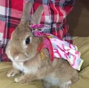 きよてぃの画像