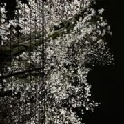 ☺︎の画像