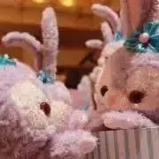 みり/断捨離中の画像