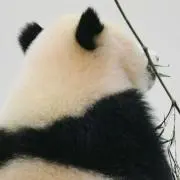 たっちゃんの画像