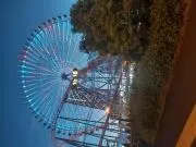 マーロの画像