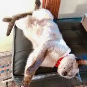 そると