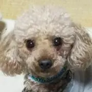 きちみこの画像