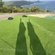 UFOの画像