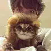 あの画像