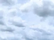 すーの画像