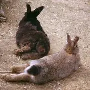 nasuuuuu.nの画像