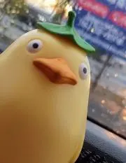 とーろー。の画像