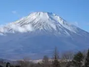まあるの画像