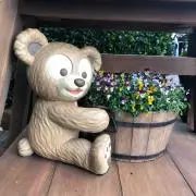 ayappe315の画像