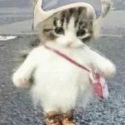 tooru55の画像