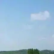 みかんの画像