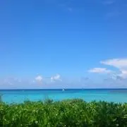 ブセナブルー♡の画像