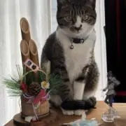 たけあきの画像