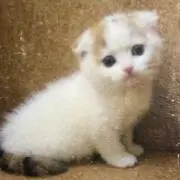 ムーミん