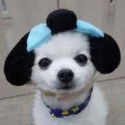 mana☆の画像