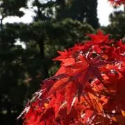 リー プロフ読んでください☆の画像