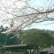 のん//プロフ必読