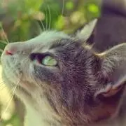 かずや。の画像