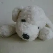 hinaの画像