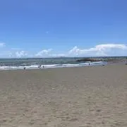 島田の画像