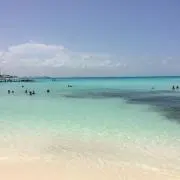テニス小僧の画像
