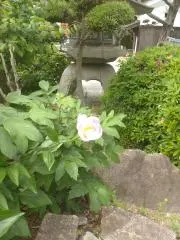 もへいの画像