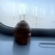 nの画像