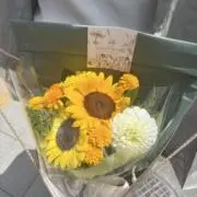 Cの画像