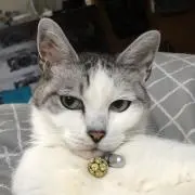 ひとし