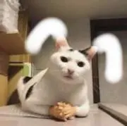 米好き