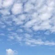よっこの画像
