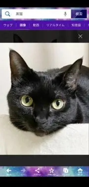 Ruru