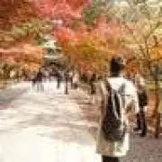 UGの画像