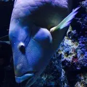 ちぃちぃちぃばぁばの画像
