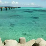 さーふの画像