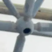 にょろにょろ