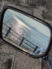 せーの画像