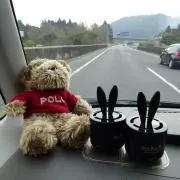 みみみの画像