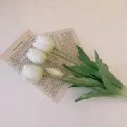 kya