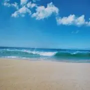 まいたけの画像